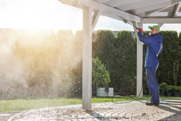 Best Solar Panel Cleaning  in Decordova, TX